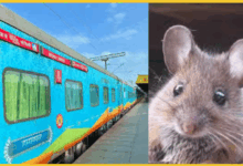 hamsafar-express-mouse-short-circuit-panic