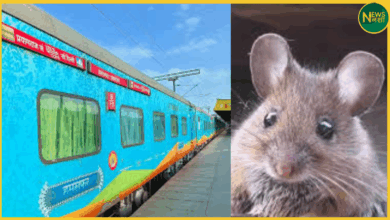 hamsafar-express-mouse-short-circuit-panic