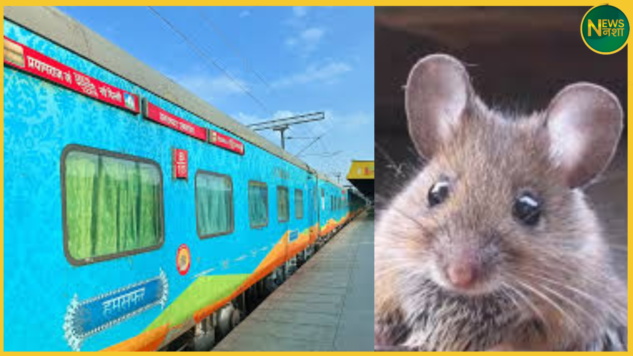 hamsafar-express-mouse-short-circuit-panic