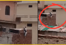 baghpat-woman-jumps-hotel-roof-after-caught-with-lover-in-baraut-viral-video