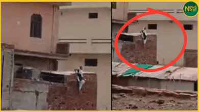 baghpat-woman-jumps-hotel-roof-after-caught-with-lover-in-baraut-viral-video