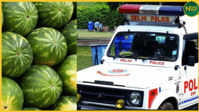 delhi-crime-348-kilo-ganja-seized-hidden-under-watermelons