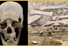 haryana-pond-digging-8-foot-human-skeleton-found