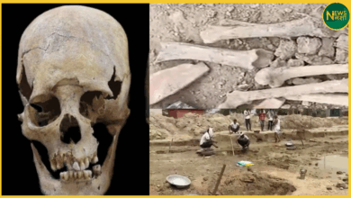 haryana-pond-digging-8-foot-human-skeleton-found