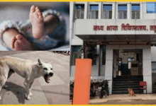 indore-hospital-dog-carries-newborn-video-viral