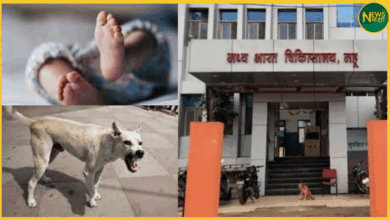 indore-hospital-dog-carries-newborn-video-viral