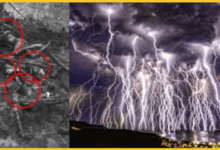 prayagraj-lightning-strike-family-death