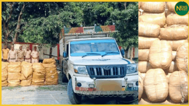 sex-toy-smuggling-busted-india-nepal-border-uttar-pradesh-2-crore-items-seized