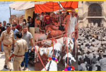 merath-saradhna-eid-ul-azha-kurbani-avshesh-tanav