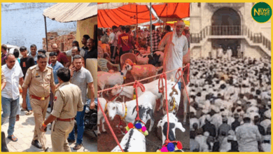 merath-saradhna-eid-ul-azha-kurbani-avshesh-tanav