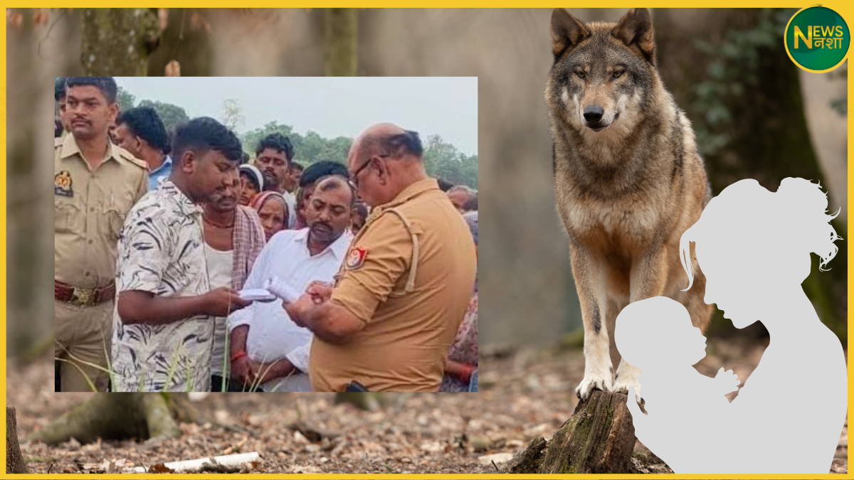 bahraich-wolf-attack-3-year-old-girl-killed