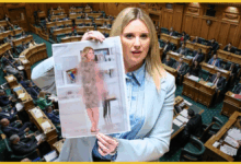 nz-mp-laura-mcclure-deepfake-photo-parliament