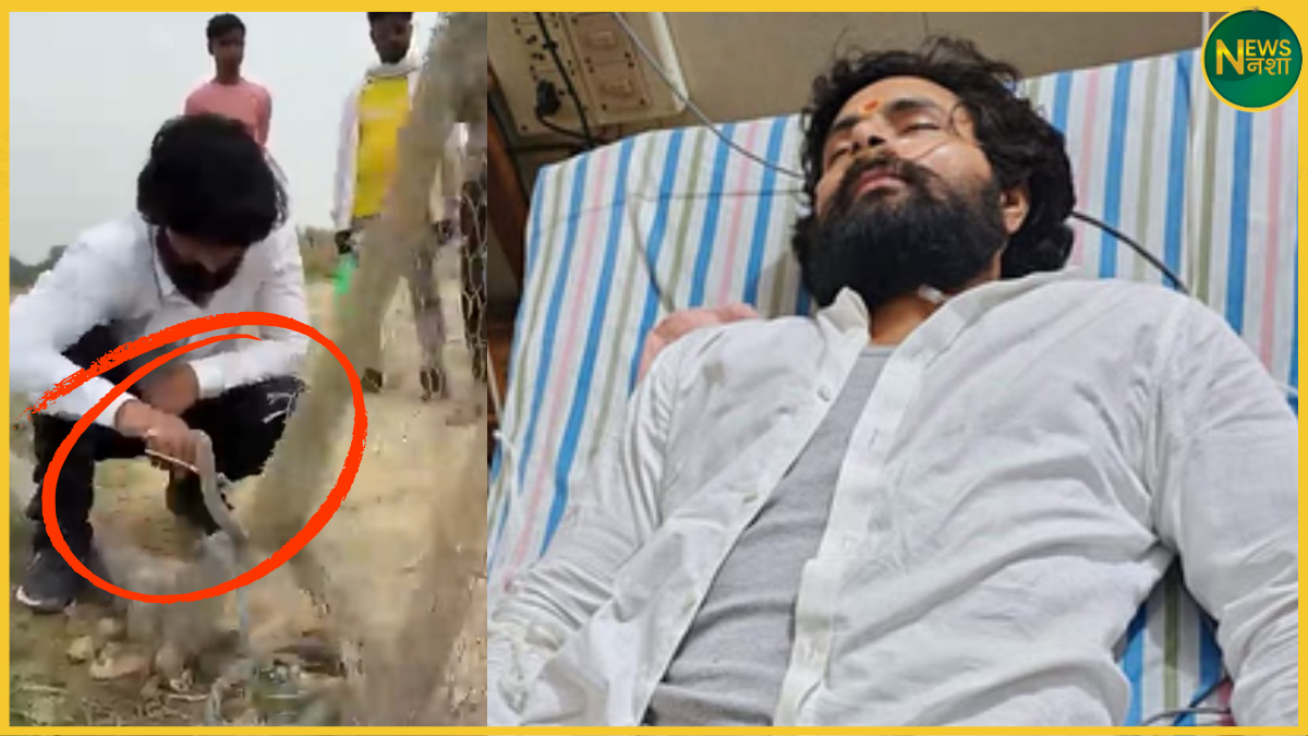 murliwale-hausla-cobra-bite-icu-jaunpur-snake-rescue