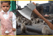 moradabad-boy-killed-by-father-while-chasing-monkeys-in-shocking-incident
