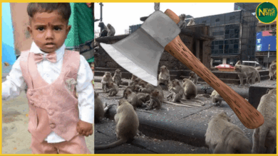 moradabad-boy-killed-by-father-while-chasing-monkeys-in-shocking-incident