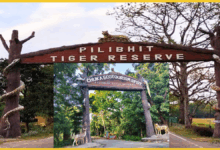pilibhit-tiger-reserve-chuka-beach-tourism-closing-15-june