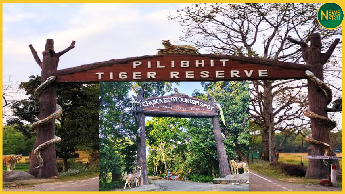 pilibhit-tiger-reserve-chuka-beach-tourism-closing-15-june