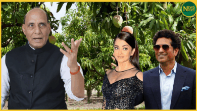 up-rajnath-aam-kaleemullah-khan-grafting-lucknow-malihabad