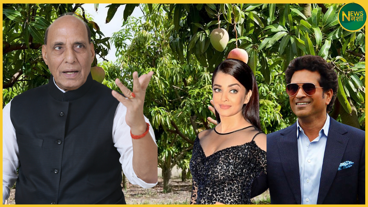 up-rajnath-aam-kaleemullah-khan-grafting-lucknow-malihabad