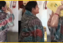 mp-katni-former-mla-wife-attempts-self-immolation-land-dispute-viral-video