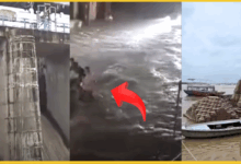 up-rain-woman-swept-away-in-ghaziabad-alert-in-44-districts