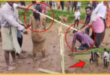 raigad-village-couple-tied-to-plough-punished-for-love-video-viral