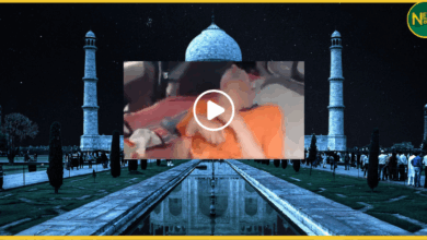 agra-tajmahal-elder-abuse-car-bound-maharashtra