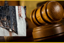 delhi-court-on-r-word-abuse-women-509-ipc