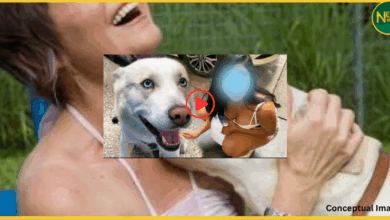 gorakhpur-girl-dirty-reel-with-goat-police-investigation