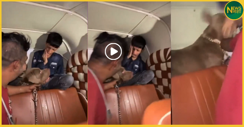 mumbai-pitbull-dog-attack-boy-video-viral