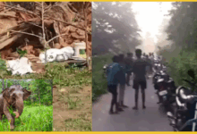 raigarh-hathi-hamla-3-logon-ki-maut-gosaidih-mohanpur-chhattisgarh-news