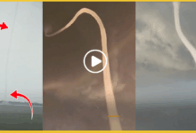 lalitpur-water-spout-sajanam-nadi-ka-ajuba-video-explained