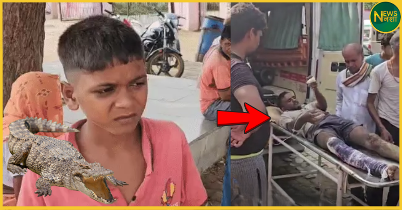agra-boy-saves-father-from-crocodile-attack