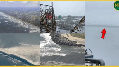japan-tsunami-prediction-rio-tatsuki-july-2025-baba-vanga-warning