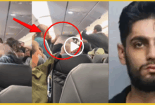 us-flight-indian-youth-fight-video-viral-eshan-sharma-arrested