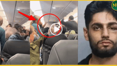 us-flight-indian-youth-fight-video-viral-eshan-sharma-arrested