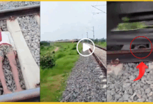 child-lies-on-rail-track-for-reel-video-social-media-danger