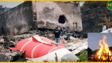 gujarat-govt-performs-last-rites-of-ai-171-crash-victims