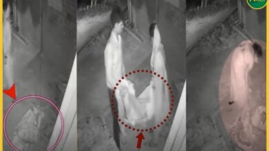 ayodhya-elderly-woman-abandoned-video-viral-treatment-death
