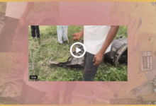 /iaf-jaguar-fighter-jet-crash-churu-rajasthan-pilot-killed