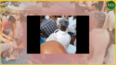 meerut-mango-party-viral-video-ralod-workers-chaos-jayant-chaudhary