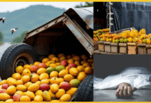 andhra-pradesh-mango-truck-accident-9-dead-12-injured