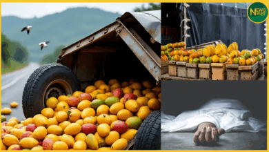 andhra-pradesh-mango-truck-accident-9-dead-12-injured