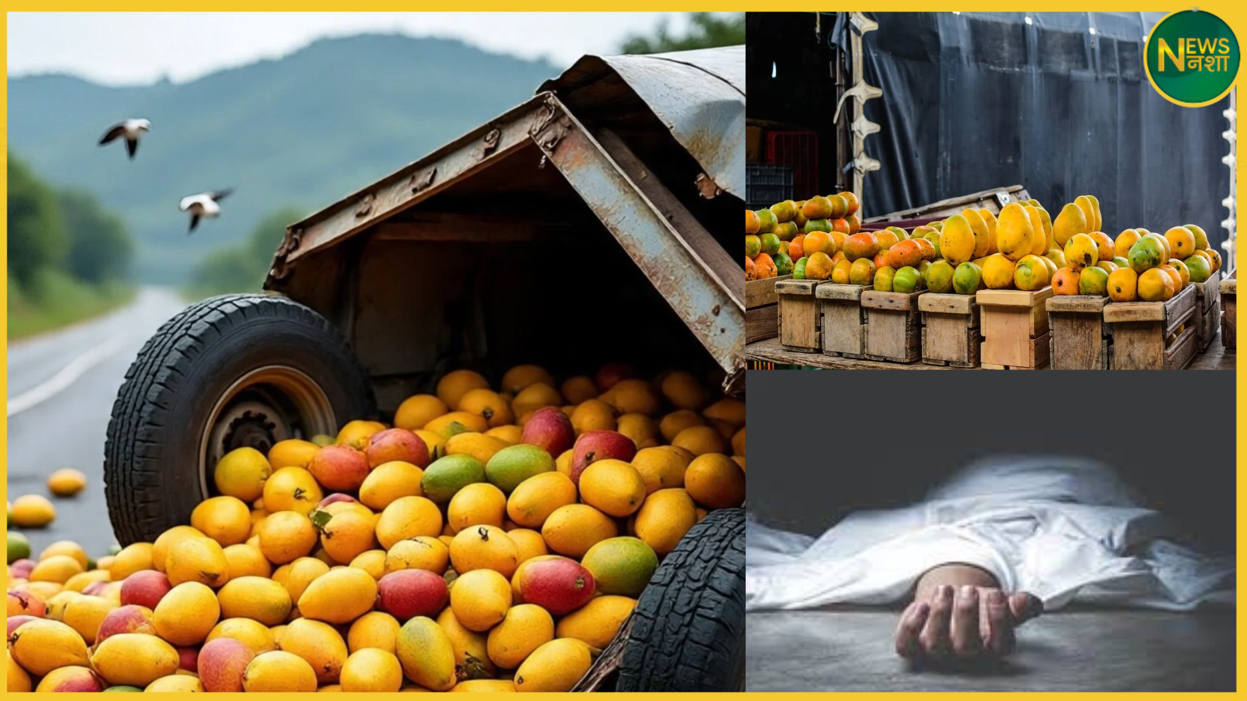 andhra-pradesh-mango-truck-accident-9-dead-12-injured