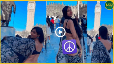 nri-woman-saree-controversy-london-video-goes-viral