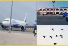news/patna-indigo-flight-bird-strike-emergency-landing-july2025