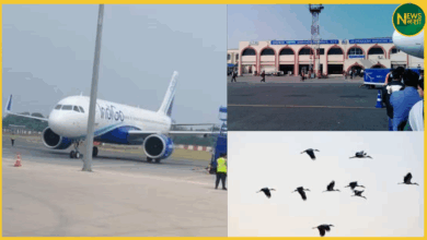 news/patna-indigo-flight-bird-strike-emergency-landing-july2025