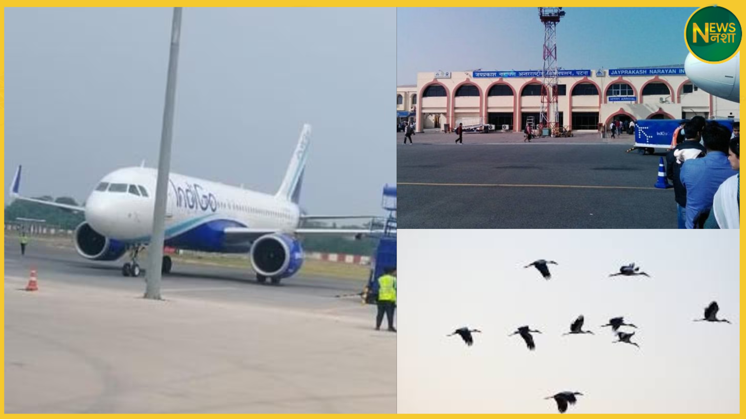 news/patna-indigo-flight-bird-strike-emergency-landing-july2025