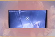 thane-ambarnath-lift-incident-child-assault-cctv-video-viral