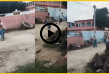 khagaria-zameen-vivad-firing-video-viral